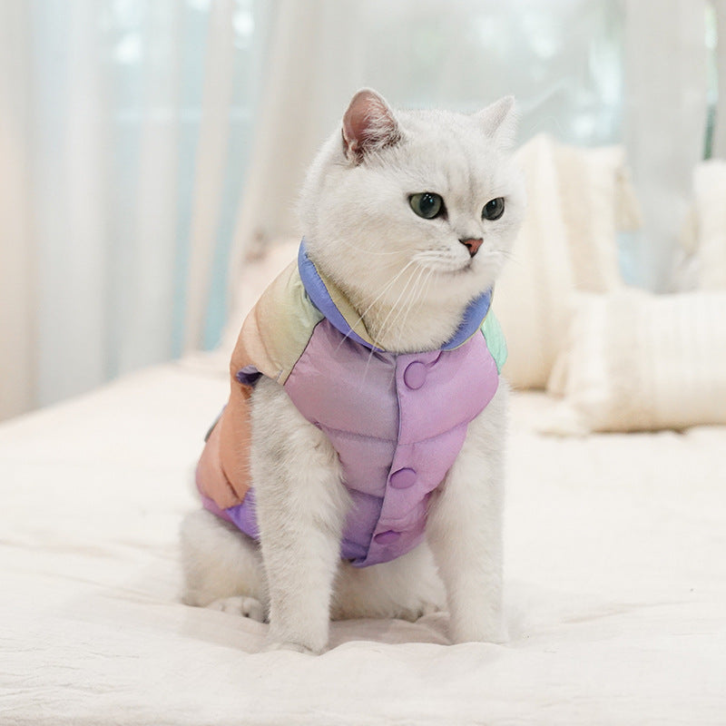 Cat Warm Winter Fashion Clothes