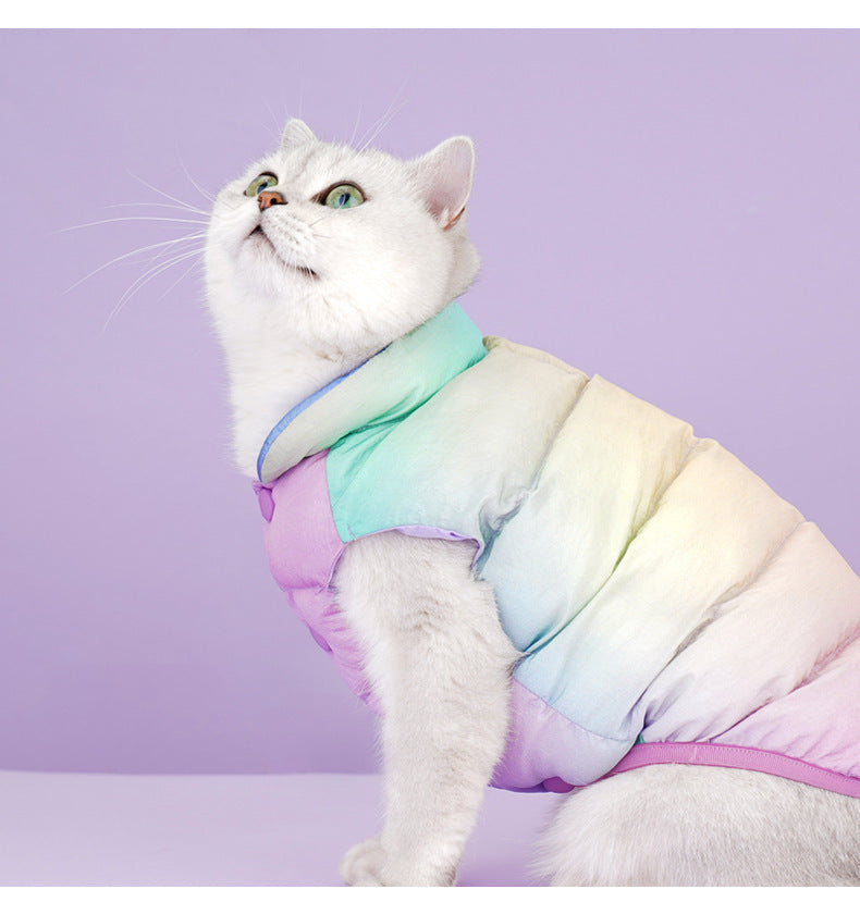 Cat Warm Winter Fashion Clothes