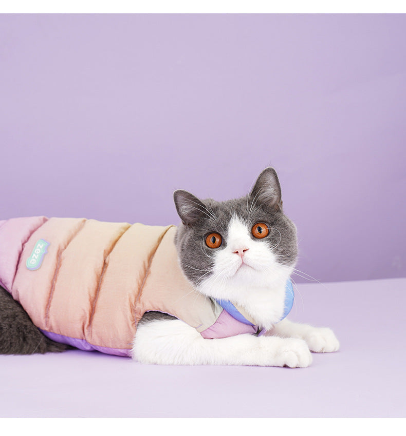 Cat Warm Winter Fashion Clothes