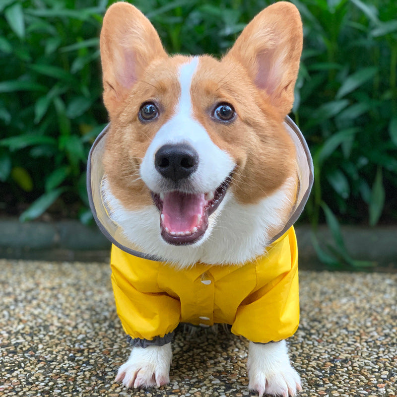 Dog Raincoat Four Legged Clothing