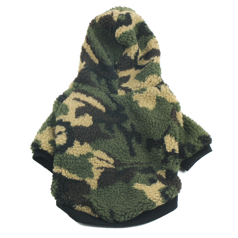 Teddy French Fighting Dog Clothes