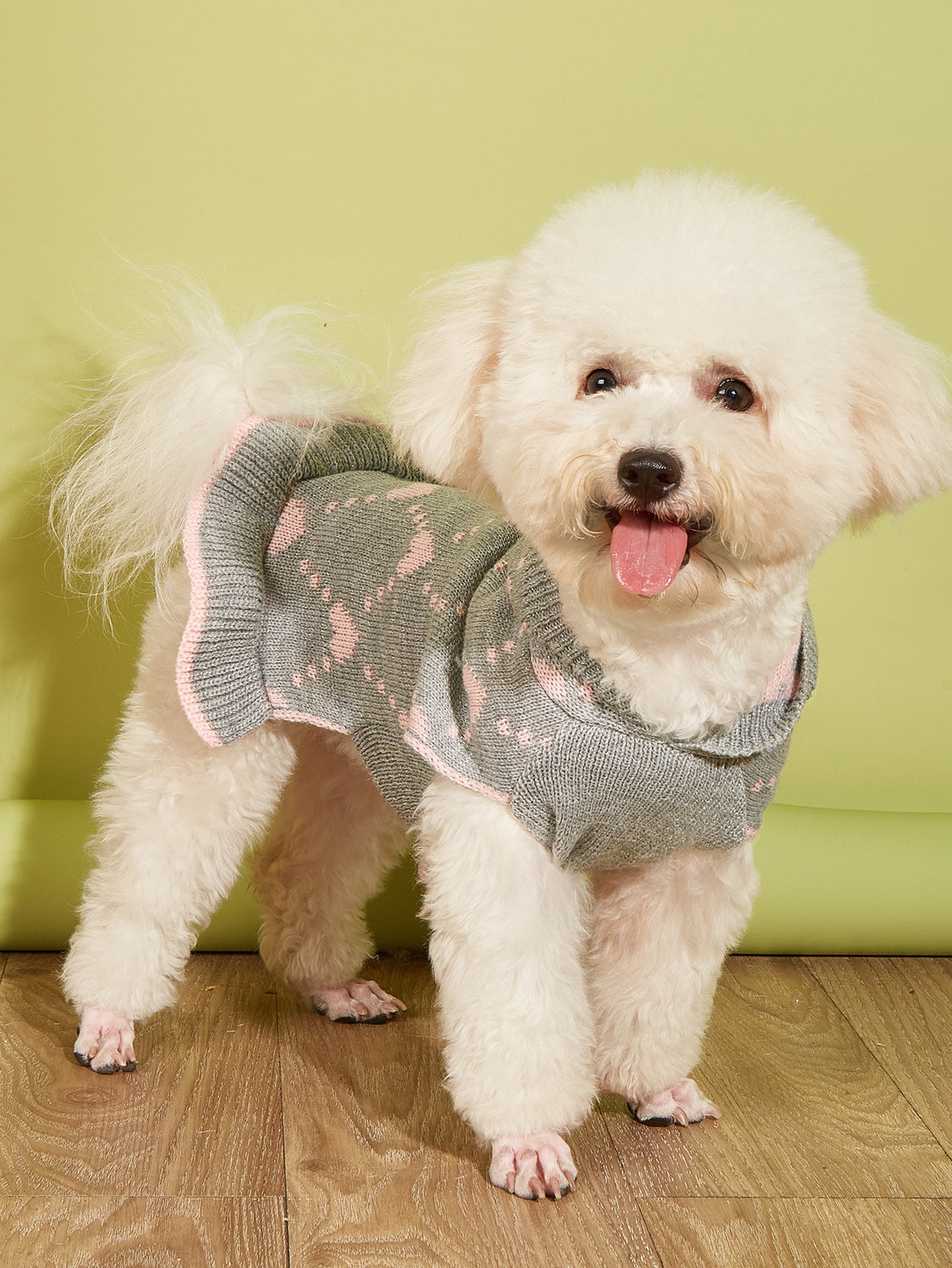 Small Dog Sweater Hoodies Dress