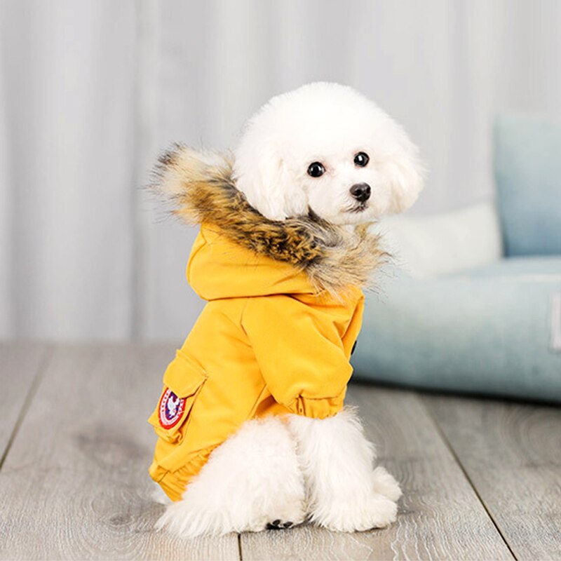 Pet dog clothes wool cotton clothes
