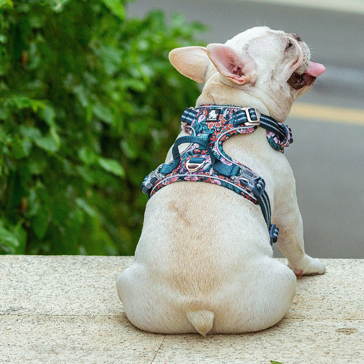 The New Dog Leash Vest