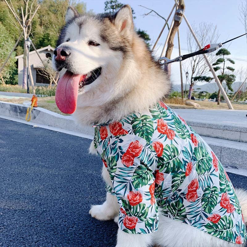 Printed pet shirt