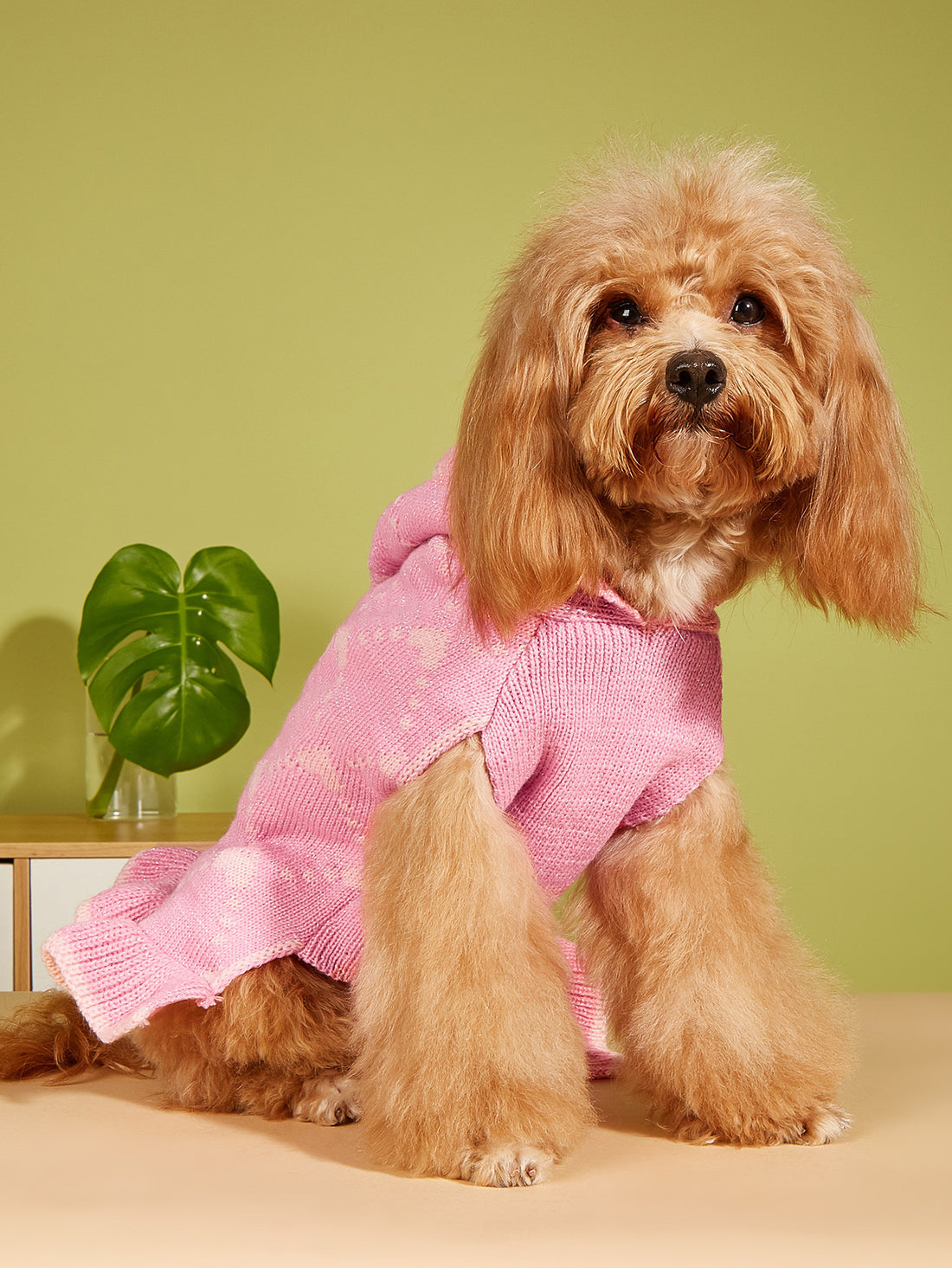 Small Dog Sweater Hoodies Dress
