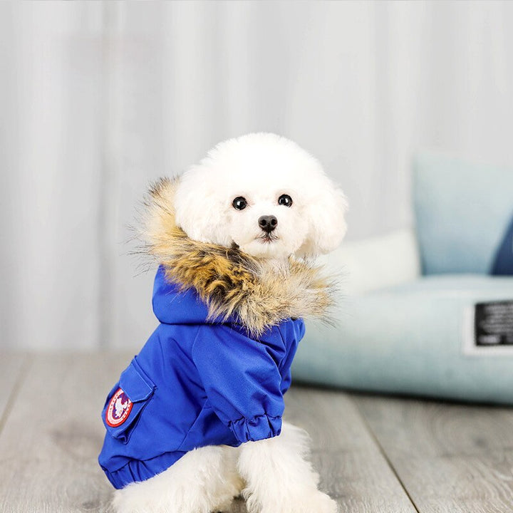 Pet dog clothes wool cotton clothes