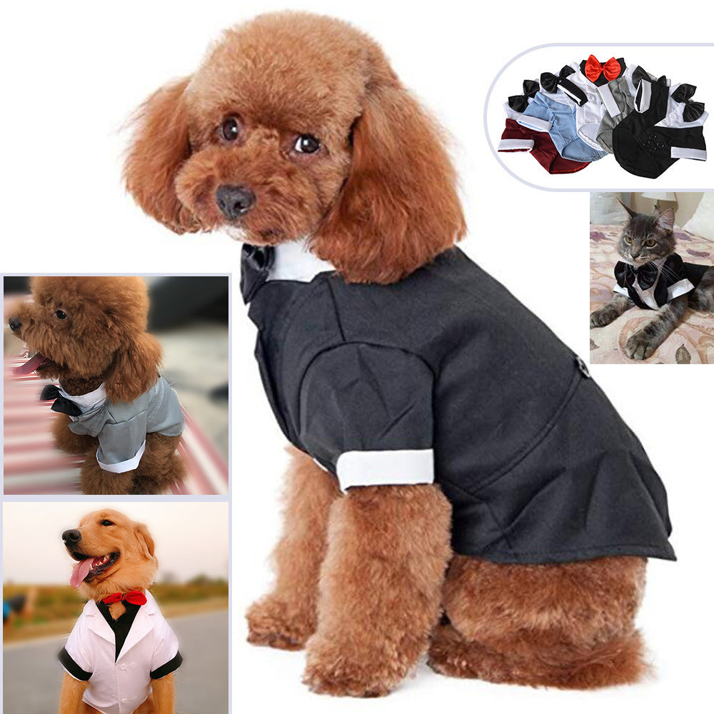 Clothing Puppy Suit Bow Tie
