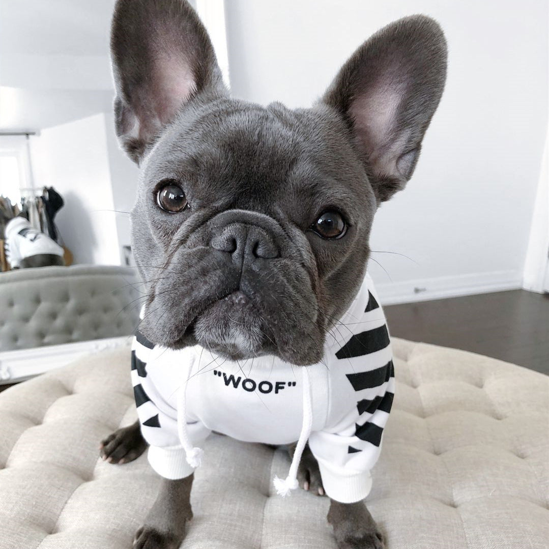 Pet fashion  three-stripe dog sweater