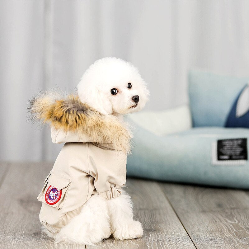 Pet dog clothes wool cotton clothes