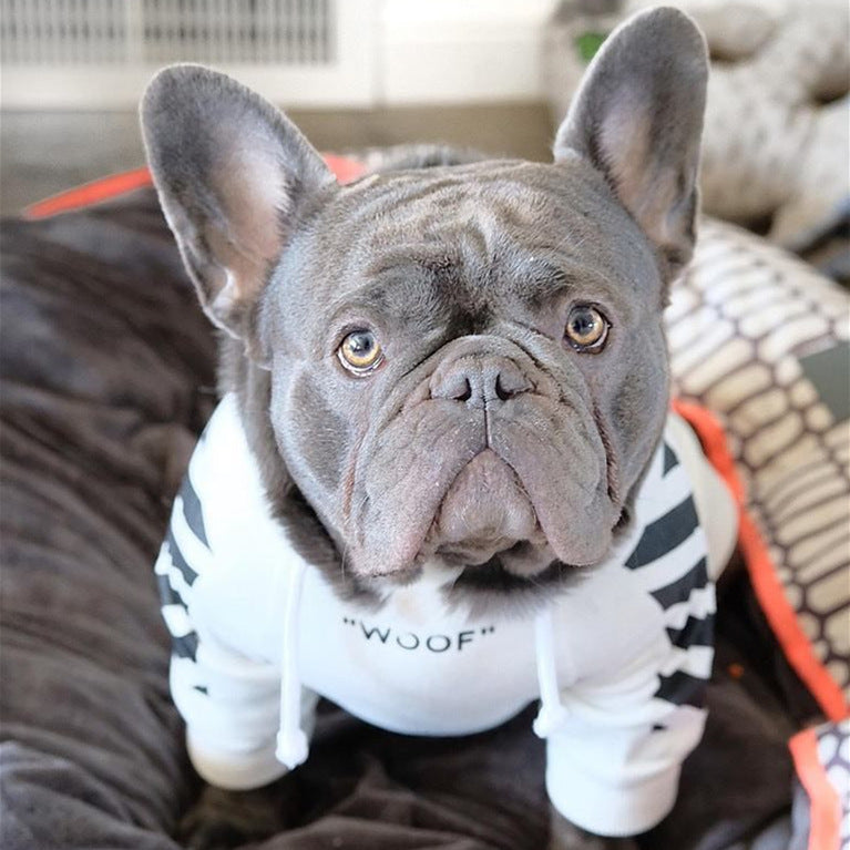 Pet fashion  three-stripe dog sweater