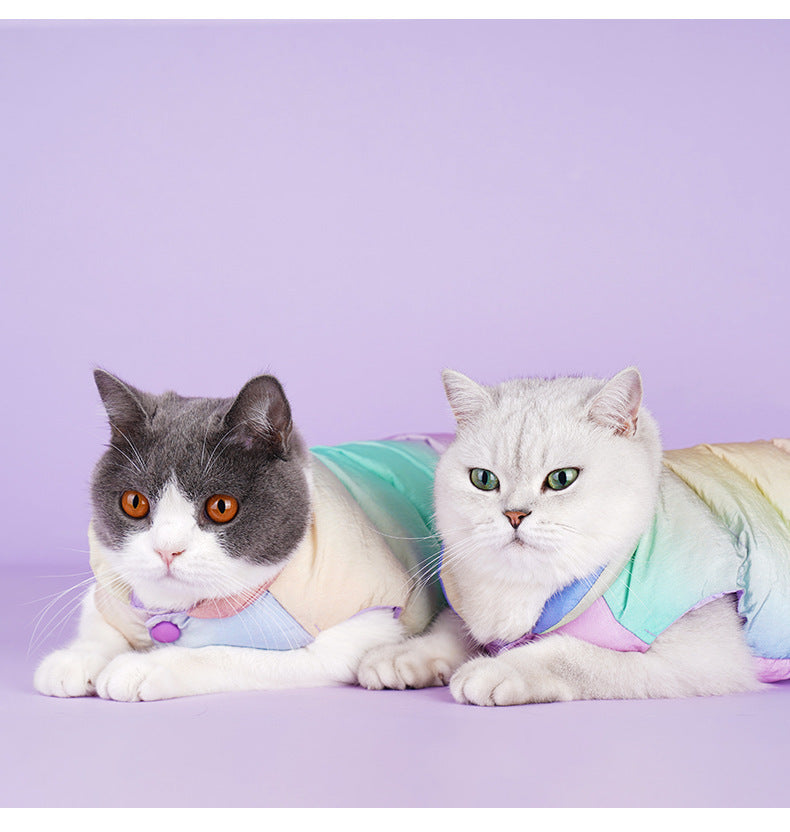 Cat Warm Winter Fashion Clothes