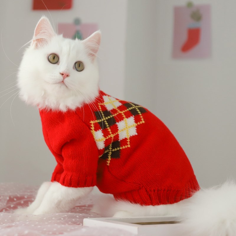 Hair Fall Prevention Kitten Winter Sweater