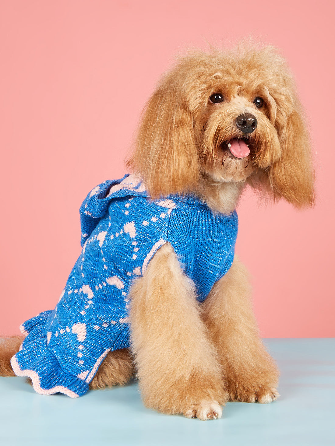 Small Dog Sweater Hoodies Dress