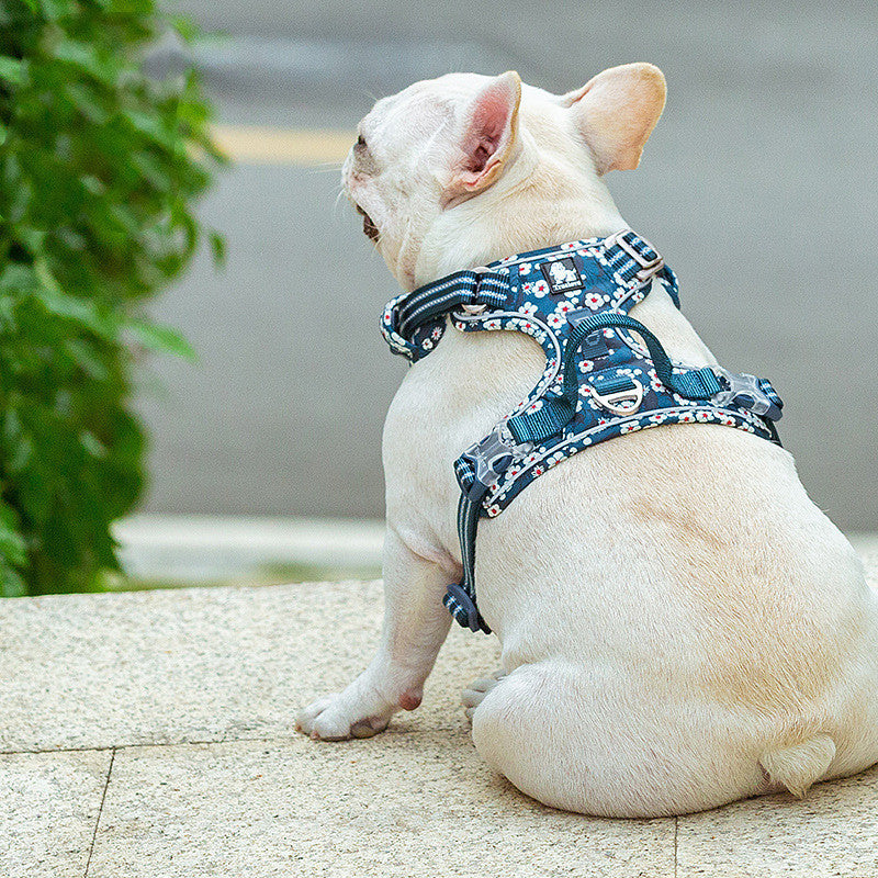 The New Dog Leash Vest