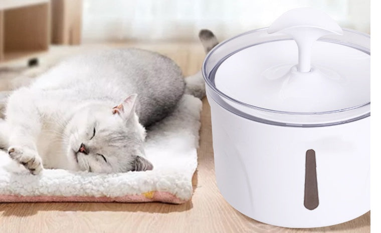 Pet Water Dispenser Intelligent