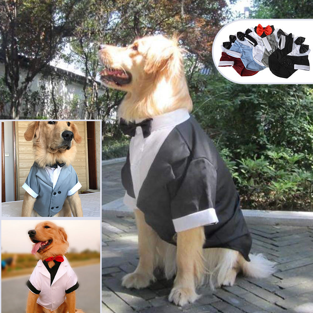 Clothing Puppy Suit Bow Tie