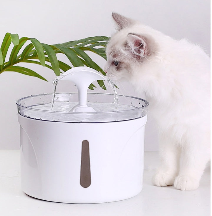Pet Water Dispenser Intelligent