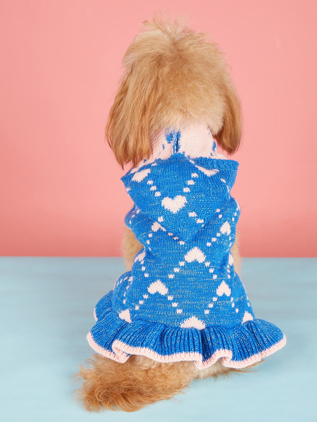Small Dog Sweater Hoodies Dress