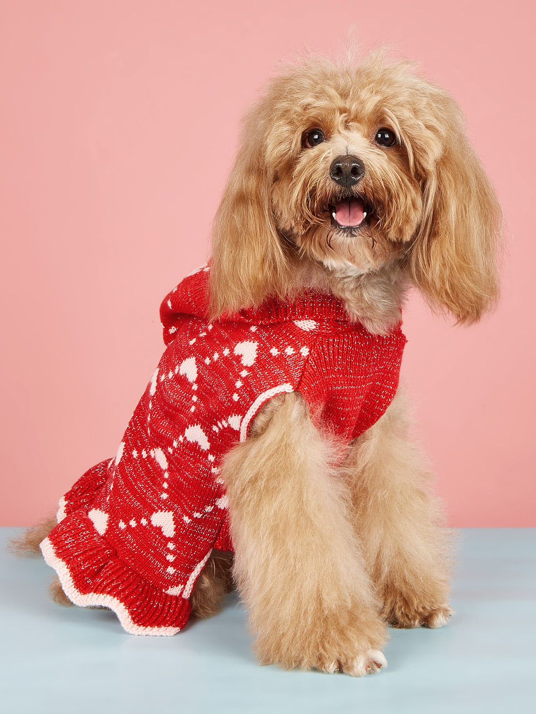 Small Dog Sweater Hoodies Dress
