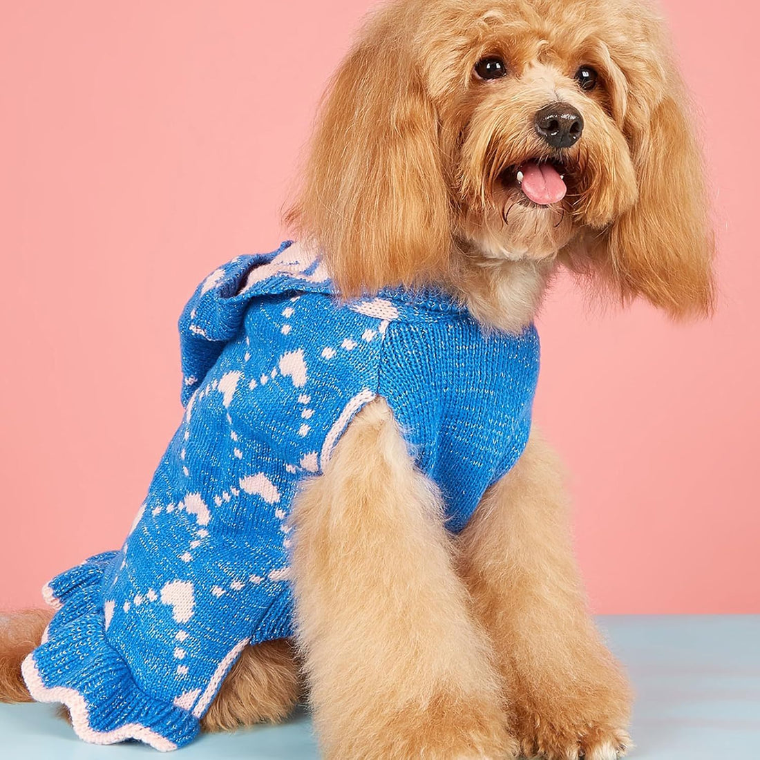 Small Dog Sweater Hoodies Dress