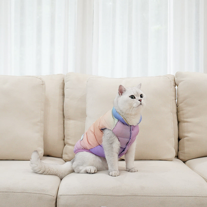 Cat Warm Winter Fashion Clothes