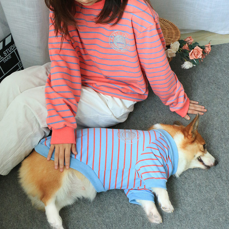 Dog Clothes Sweater New Pet