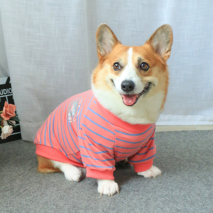 Dog Clothes Sweater New Pet