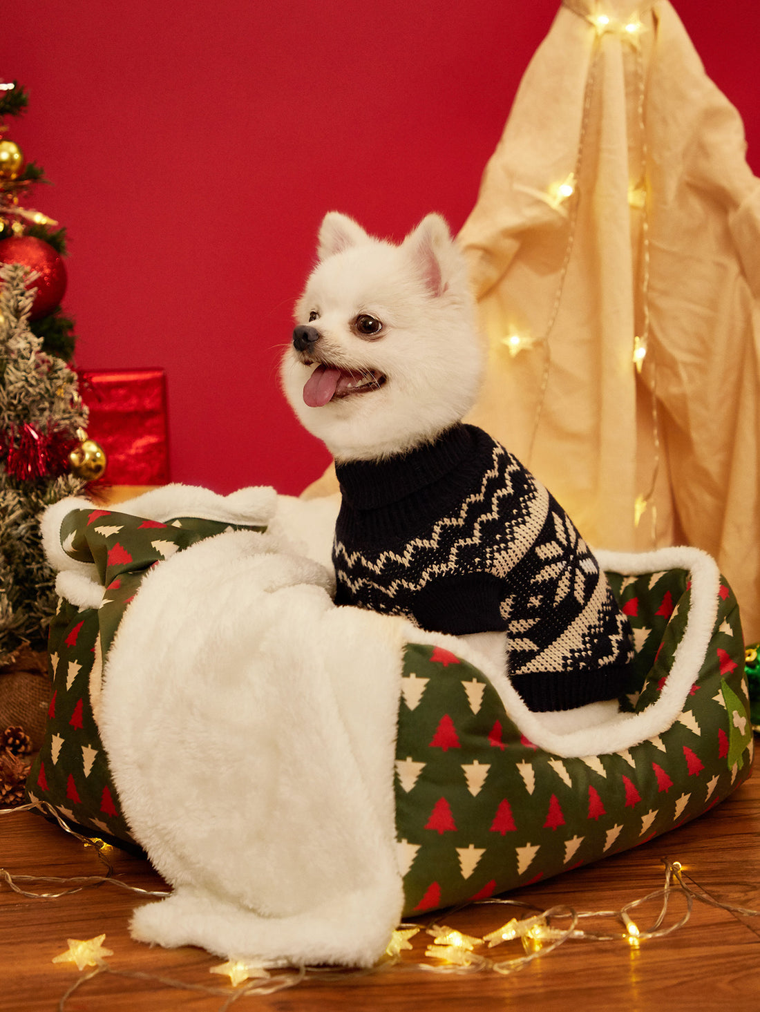 Christmas Igloo Cat House Pet Mats